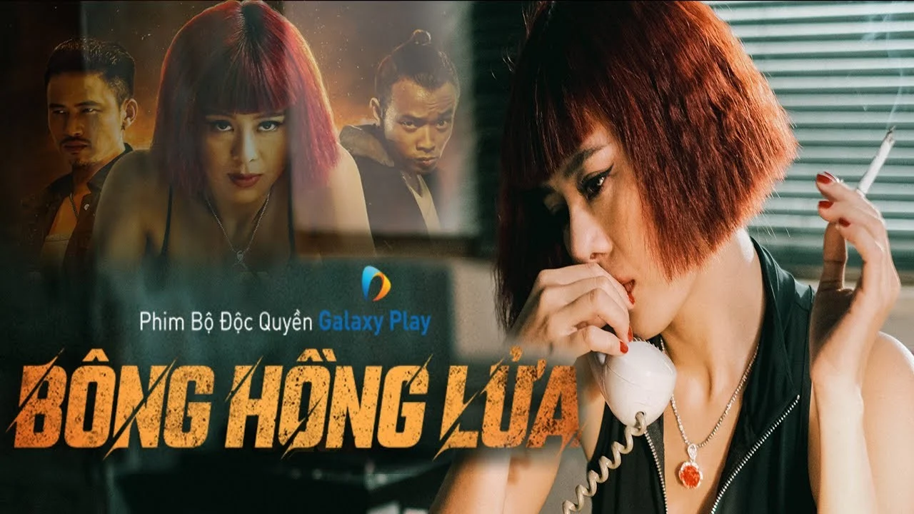 Phim Bông Hồng Lửa - A Phoenix From The Ashes